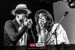 Jaworzno Wydarzenie Koncert Dark Leaves